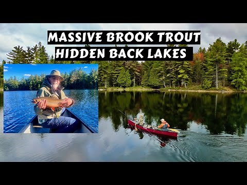 Massive Brook Trout on Hidden Lakes | One Hour Special Doc