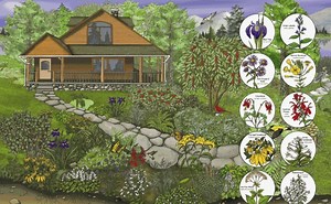 Create Your Own Native Plant Landscape: Burlingame Library Event