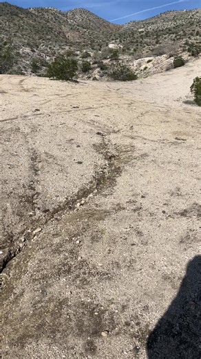 dustydesertqueen (@dustydesertqueen)’s videos with original sound - dustydesertqueen