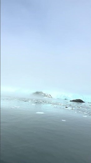 Alaska Glacier Adventure | Kenai Fjords National Park Cruise, Alaska, USA 🇺🇸