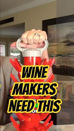Wine Bottle Drying Rack Must Have for Winemakers #winemaking #wineproduction #howto #winelovers