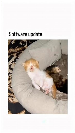 Software update