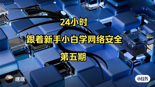 网络扫描工具netdiscover