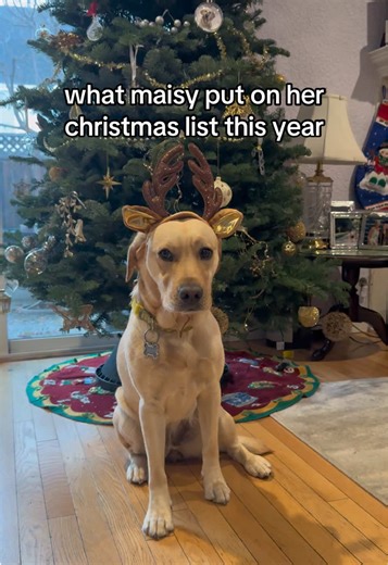 Maisy’s Fun Christmas List for This Year