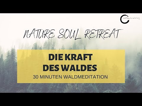 Nature Soul Retreat | Die Kraft des Waldes - Unity Training
