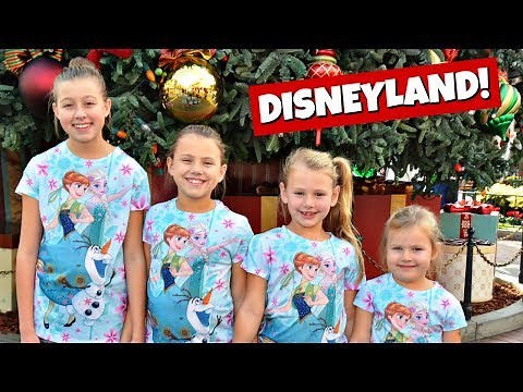 CHRISTMAS AT DISNEYLAND 2017!