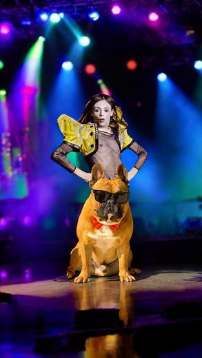 ⭐️ 𝗥𝗢𝗕𝗘𝗥𝗧𝗔 𝗟𝗔𝗜𝗡𝗢 ⭐️ | 🎶Sulle note di “Volevo essere un duro” di @lucio_corsi Diesel presenta: VOLEVO ESSERE UN BULLO👿 Bulldog francese, cane, cane divertente... | Instagram