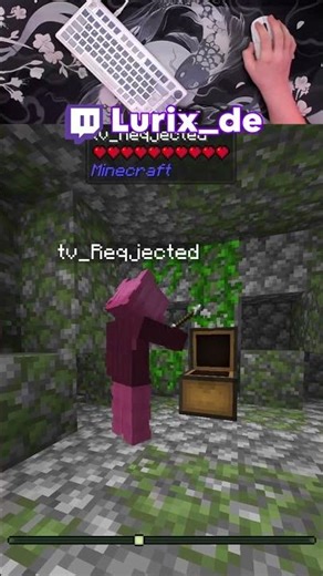 Finde den Fehler in Minecraft!