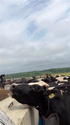 9.2K views · 365 reactions | Jonathan Edwards on Reels | Facebook