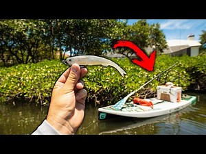 SNOOK SMASH THIS LURE Under Mangroves! heres why... (Paddleboard Fishing)