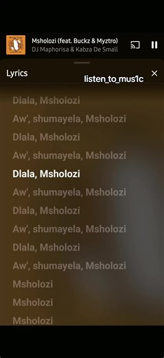 Msholozi 🎵🇿🇦💯 #amapiano #mzansimusic #lyrics #listen_to_mus1c #fypppppppppppppp