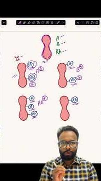 Q 106 Blood group | Body fluids and circulation | Ncert biology | Neetug | Cuet #neetug #neetbiology