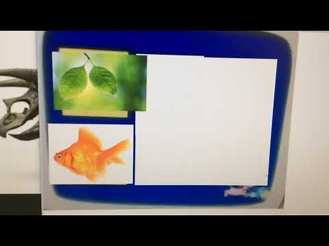 Go Diego go triceratops puzzle