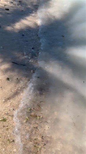 5.1K views · 125 reactions | Who has ever been to this private island during your trip to Key West? - #sunsetkey #keywestvibes #keywestlife | Backyards of Key West Gallery | Facebook