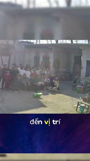 Chú chó thông minh nhất hệ mặt trời