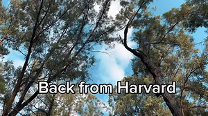 28K views · 2K reactions | Finally back to Kenya  Lucky's- comedy MaZa Comedy Register now using this link and bet with 1XBET. Get that 300 percent bonus on first deposit https://bit.ly/3MAdnVa Use promo code Napsa1X | Ba NAPSA the second in command | Facebook