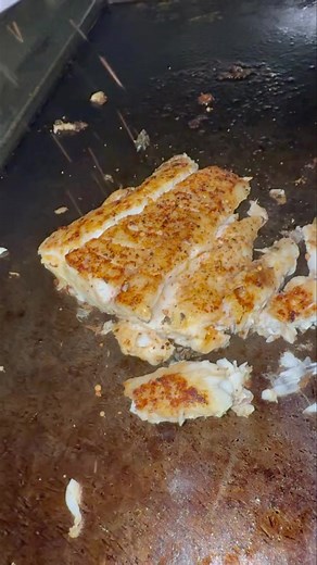 3K views · 28 reactions | It’s the weekend, and the case is full! 寧 Fresh NC shrimp, oysters, and fish straight from the coast — ready for your grill, fryer, or steamer. Come stock up or grab a cooked-to-order plate 3369771827  . . #highcountryseafoodco #downtownnorthwilkesboro #FreshCatch #seafoodlovers #FreshFromTheCoast #ShrimpLovers #oysters #fall #shuckedoysters #seafoodmarket #ashecountync | High Country Seafood Co | Facebook