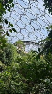 13K views · 70 reactions | Look out below!  This is one of the...