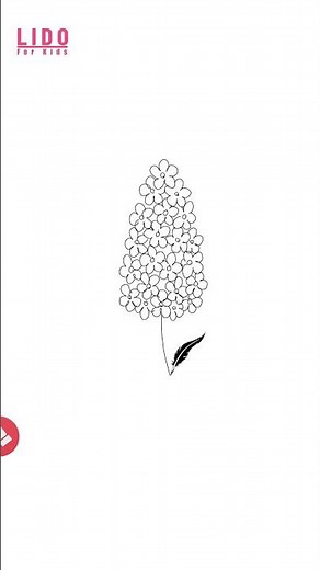 How to Draw Lilac Flowers Super Easy Drawing for Kids & Beginners #lidoartworks