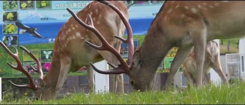 投げ続けた中で連続して現れる強い反応