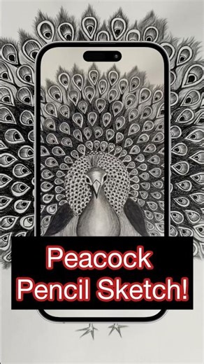 The Art of Illusion: Creating a Realistic Peacock in Pencil