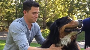 Watch: Family dog discovered unharmed after devastating California fires [video]