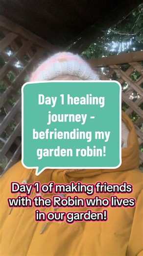 Day 1 Healing Journey: Befriending My Garden Robin