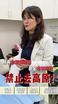 Things Cat owners must know about pulmonary edema in cats#Pulmonary edema in cats#Heal