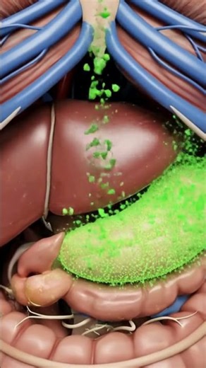 See How Moringa Cleans Your Body from the Inside Out 🚨 #detox #guthealth #superfood