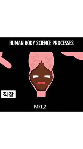 Explain Everything Ai | The Transport Loop (The Circulatory System) Your blood is the body's delivery service. It carries oxygen, nutrients, and hormones to 37... | Instagram