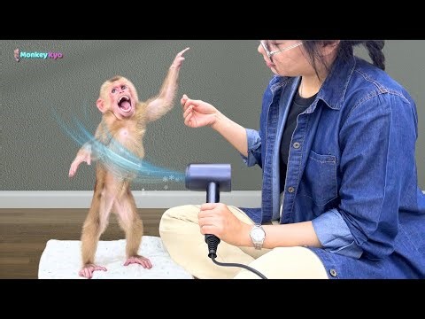 Kyo is super smart, making the girl extremely surprised!