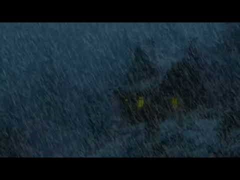 Heavy Snow & Howling Wind Sounds | Blizzard Echoes for Deep Relaxation & Study Focus