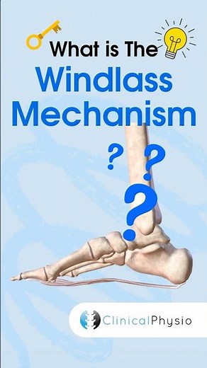 Windlass Mechanism #physicaltherapy #physiotherapy