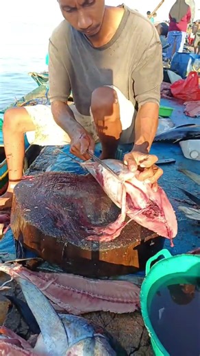Wow, amazing, fresh, just came from the sea #fish #fishing #talon #fypシ゚viral #cooking