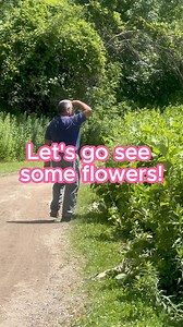 Come see what's in bloom on the prairie! Join naturalist Pete for a tour through Dodge's restored prairie at our Main Property in West St. Paul. Learn the names of several native plants and flowers along the way. Why are prairies important? These biodiverse ecosystems provide many benefits: 🐛 Essential habitat for native plants and wildlife, especially pollinators like bees and butterflies. 💧 Nature's water filter. Prairie plants help clean groundwater, reduce erosion, and trap beneficial nutr