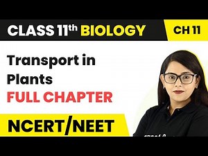 Transport in Plants - Full Chapter Explanation | Class 11 Biology Chapter 11