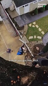 1.5K views | No tree too tall for this cat rescuing hero! #animalkind | Savannah Morning News & SavannahNow.com | Facebook