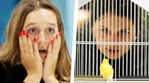 1.1M views · 1.5K shares | Birds are chirping ! | Just For Laughs Gags | Facebook