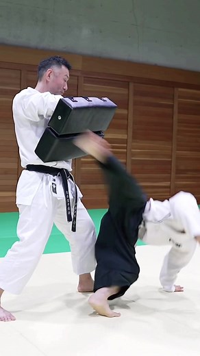Taido Techniques by Tetsuji Nakano Sensei