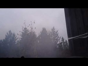 45 Colt loaded Pyrodex P