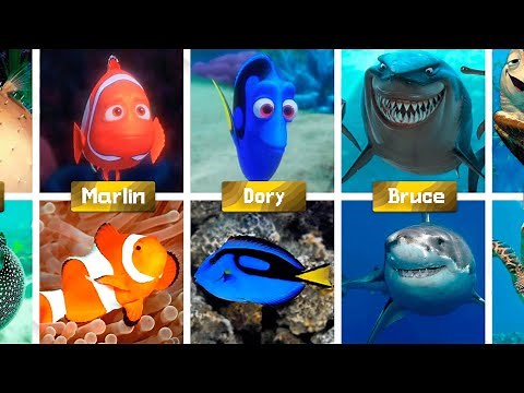 What Nemo Characters Look Like in Real Life 😱🐠