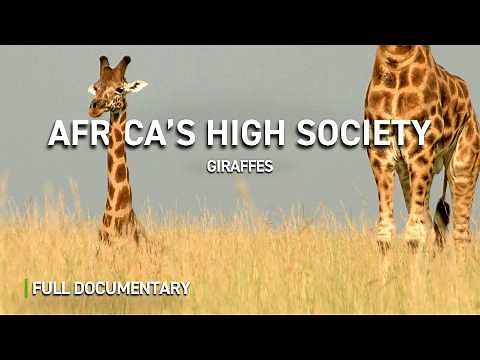 Giraffes: Africa's High Society | Full Nature Documentary