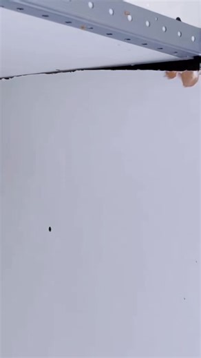 Essential Drywall Patch Repair Techniques