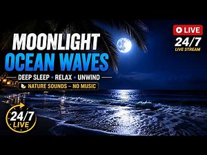 🌊 Ocean Waves at Night LIVE 24/7 | Deep Sleep, Relaxation & Natural Beach Sounds
