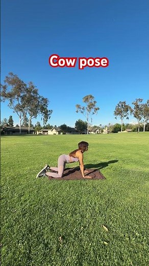 Cow pose