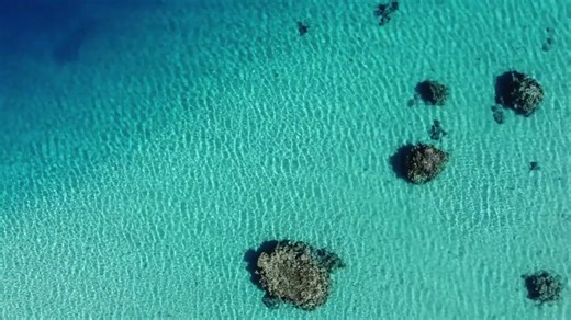 Exploring the Red Sea: A drone’s-eye view of its marine ecosystem