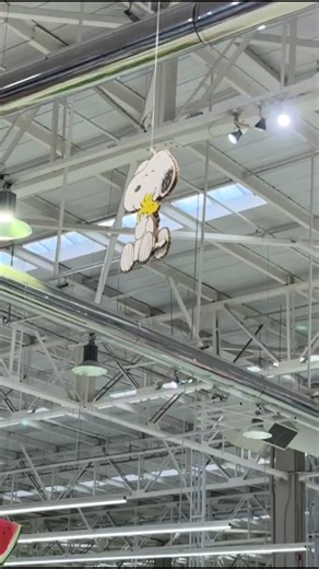 Snoopy Jumbo en Concepción: Un Encuentro Divertido