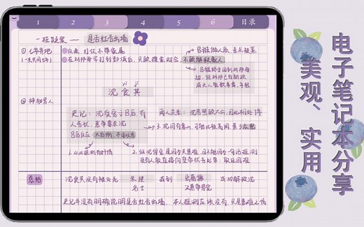【自制】无纸化/蓝莓电子笔记本分享/ipad/notability/goodnotes