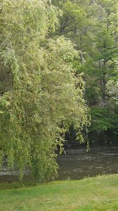 4 bonnes raisons de choisir une caravane pliante pour vos prochaines vacances ☀️👇🏼 1️⃣ Une caravane pliante est bien plus légère et compacte qu’une caravane classique. Aucun besoin d’un gros véhicule, elle se tracte facilement avec de nombreux types de voitures et ne nécessite qu’un permis B. 2️⃣ Son format compact est un avantage pour le stockage hors saison. Contrairement aux caravanes traditionnelles, elle prend peu de place dans un garage et permet d’éviter des frais de gardiennage. 3️⃣ Av