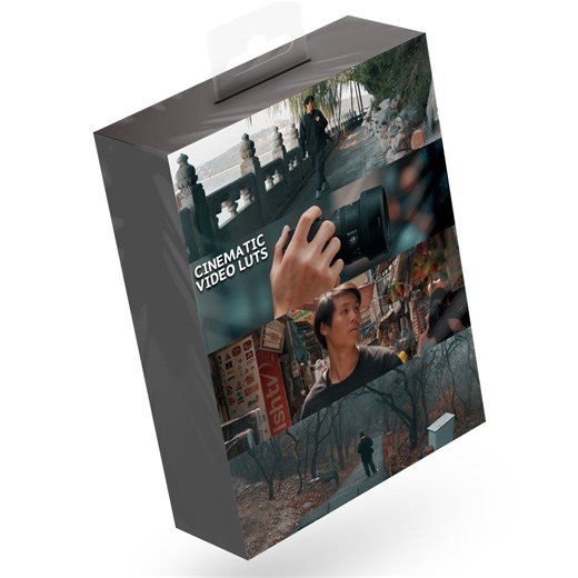 Chinny Cinematic Video Luts